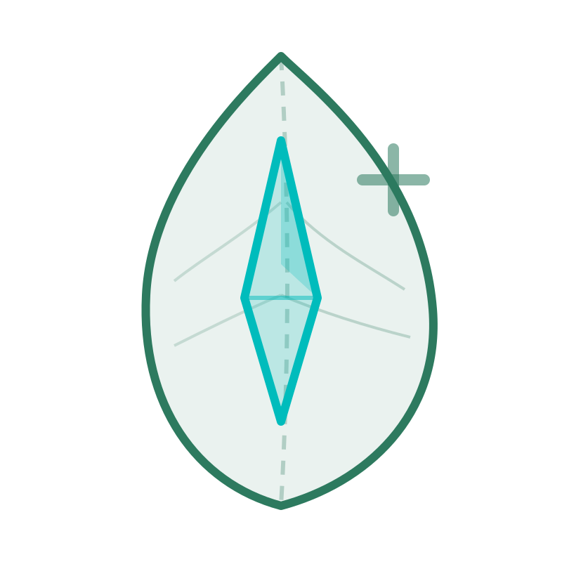 GoutProtocol